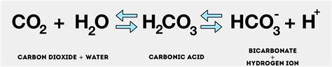 carbonic acid equilibrium equation